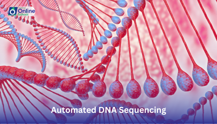 Lesson 12: Introducing Automated DNA Sequencing